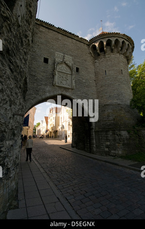 Great Coastal Gate (Suur Rannavärav) at the north end of Pikk in Tallinn, Old Town, Tallinn, Estonia, Baltic States Stock Photo