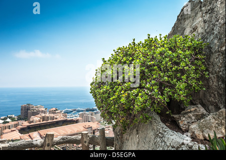 View of Monte Carlo and the Mediterranean Sea Stock Photo