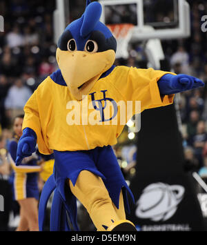 November 25, 2017; Memphis, TN, USA; Memphis Tigers Mascot, POUNCER, and  cheerleaders performing during an intermission in NCAA D1 basketball action  against NKU. The Memphis Tigers defeated the Northern Kentucky Norse, 76-74.