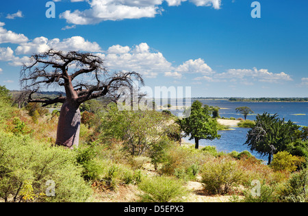 African landscape, Chobe river, Botswana Stock Photo