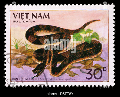 Postage stamp from Vietnam depicting a sharp-nosed viper (Ancistrodon acutus) Stock Photo