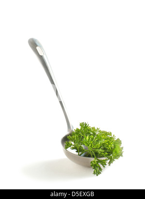 Green leaves of italian parsley in a soup ladle, isolated on white background Stock Photo