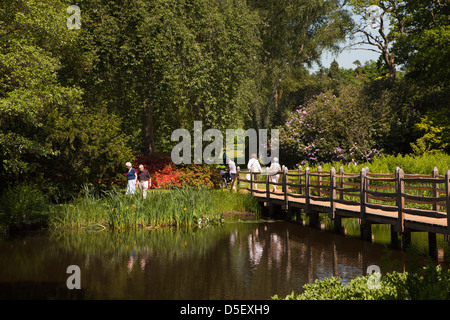 England, Berkshire, Windsor, Savill Garden, visitors on Casson Bridge Stock Photo