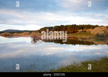 Reservoir of La Cuerda del Pozo in Abejar, Soria, Spain Stock Photo