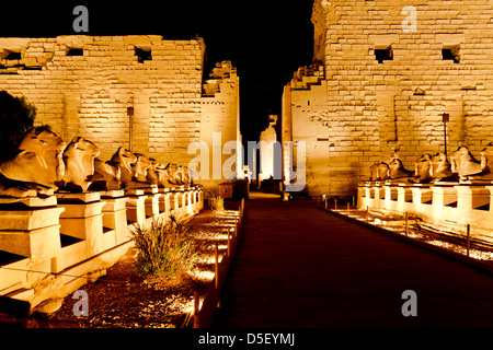 ram-headed spinx at karnak temple in the night, luxor, egypt Stock Photo