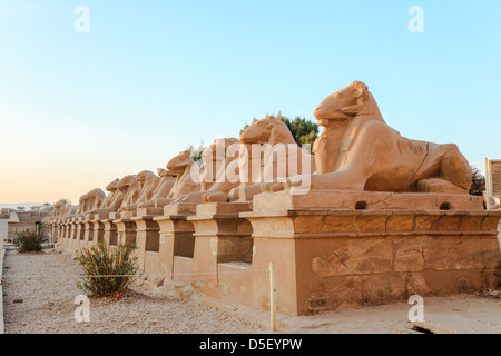 row of ram-headed sphinxes in karnak temple, luxor, egypt Stock Photo