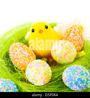 Closeup of beautiful Easter still life isolated on white background, colorful eggs on green grass, nice yellow chick Stock Photo