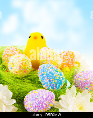 Cute small yellow Chick toy with colorful eggs in the nest outdoor, traditional Easter decoration, happy holiday Stock Photo