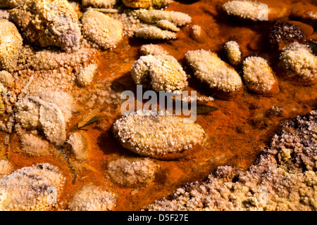 stones with crystals in acidic rio Tinto, Spain Stock Photo