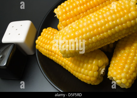 Corn cobs Stock Photo