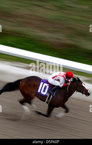 New Orleans, Louisiana, USA. 30th March, 2013. Sister City and Richard Eramia win the Grecian Princess at the Fair Grounds in New Orleans, LA. Stock Photo