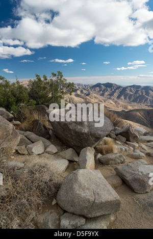 Joshua Tree And Rocky Landscape Vista Stock Photo - Alamy