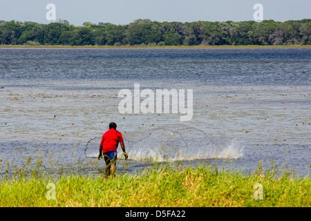 Man casting net for fish in Upper Myakka Lake in Myakka River State Stock Photo: 55041553 - Alamy