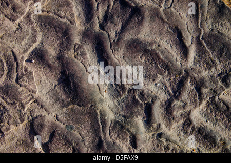 black natural stone background and texture Stock Photo