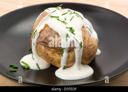 Baked jacket potato filled with sour cream and chives, brightly lit studio shot Stock Photo