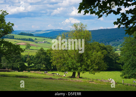 Derwent valley, from Plisley, Chatsworth, Derbyshire, Peak District, England Stock Photo