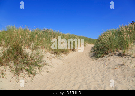 Foehr Island, dunes at Utersum, Schleswig-Holstein, Germany Stock Photo