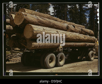 Truck load of ponderosa pine, Edward Hines Lumber Co. operations in Malheur National Forest, Grant County, Oregon (LOC) Stock Photo