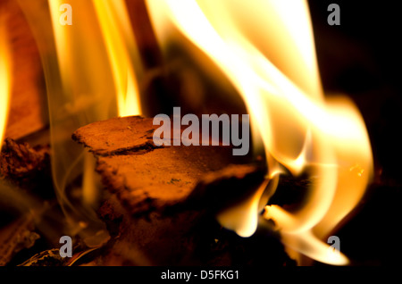 Closeup view of burning log Stock Photo