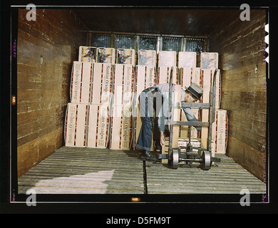 Loading oranges into a refrigerator car at a co-op orange packing plant, Redlands, Calif. Santa Fe R.R. trip (LOC) Stock Photo