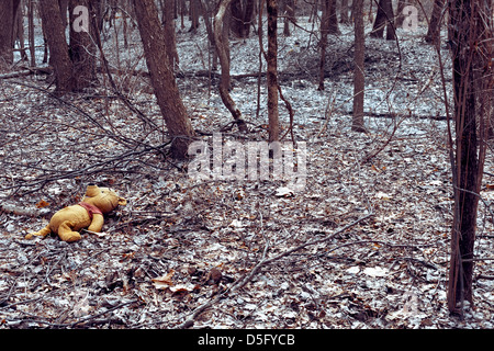 winnie the pooh stuffed animal abandoned in the woods Stock Photo