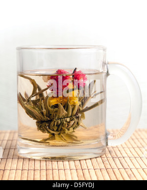 Green Chinese flower tea is brewed in the cup on bamboo carpet Stock Photo