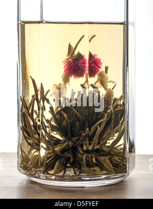 Green Chinese flower tea in the glass above white background Stock Photo