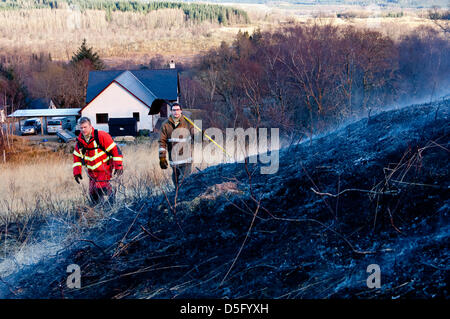 01 April 2013 U.K With the alpine conditions in the west coast of Scotland hill fires are raging.This particular one started today above Banavie on the outskirts of Fort William opposite Ben Nevis.Firefighters struggled to control it and a helicopter was called as it swept towards a near by forestry plantation. Stock Photo