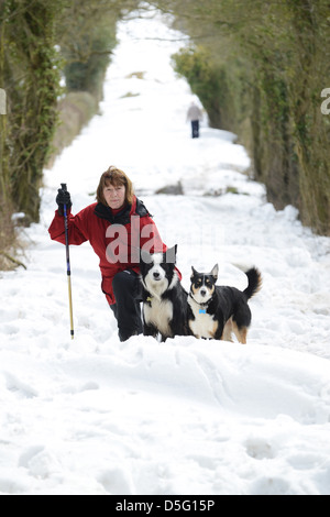 Woman walking through deep snow drift in winter Britain Uk 2013 severe weather harsh winters dog walker Stock Photo