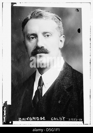 Bainbridge Colby (LOC) Stock Photo