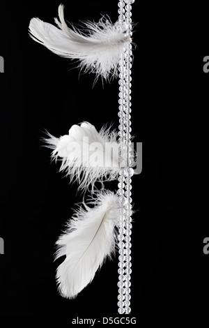 White feathers hanging against dark black background Stock Photo