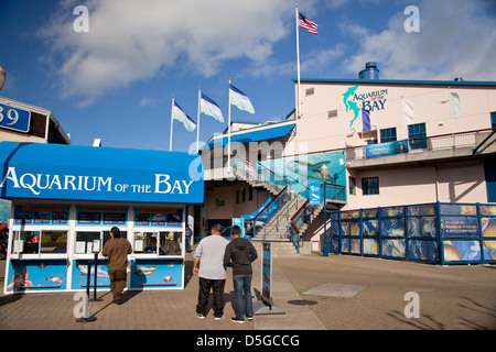 Aquarium of the bay, Fishermans Wharf in San Francisco, California, United States of America, USA