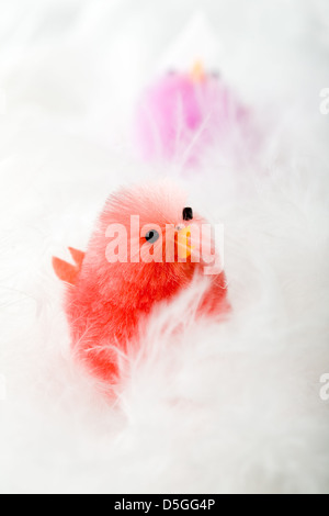 Easter decoration with white feather, selective focus Stock Photo