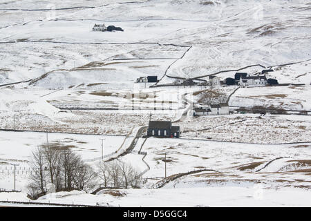 Teesdale, County Durham, UK. 31st March 2013. Snow cover remains in Teesdale, County Durham, England, UK where sheep farmers continue to feed stock with hay. Recent low temperatures have maintained snow conditions in upland areas of the UK. Credit: Rupert Sagar-Musgrave / Alamy Live News Stock Photo