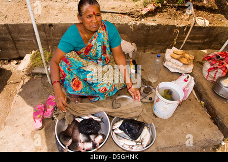 Hindu woman selling fish in marketplace in Paud Mulshi Valley Pune Maharashtra India Stock Photo