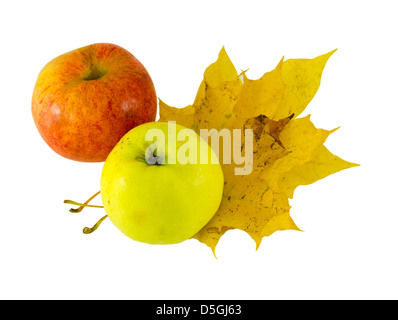 yellow and pink apple lying next to the yellow maple leaves isolated on white background Stock Photo