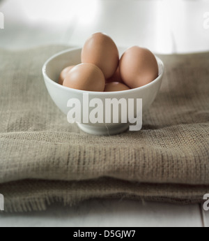 Half a dozen eggs in a bowl. Stock Photo