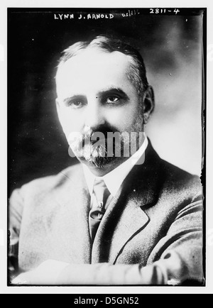 A portrait of a distinguished man with a prominent beard and a ...