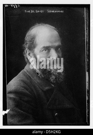 Prof. Dr. Ernst Schweninger Stock Photo Alamy