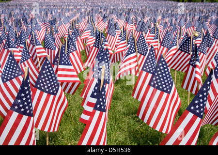 20,000 American Flags are displayed every resident Massachusetts who died in a war over the past 100 years Boston Common Boston Stock Photo