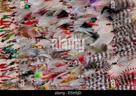Selection of fishing flies Stock Photo