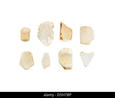 Eight pieces of sea-worn beach pottery from Maine. Stock Photo