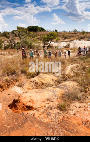 Madagascar, Operation Wallacea, Opwall students walking through savannah
