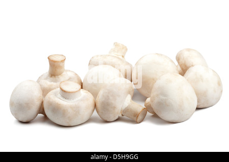 fresh mushrooms isolated Stock Photo