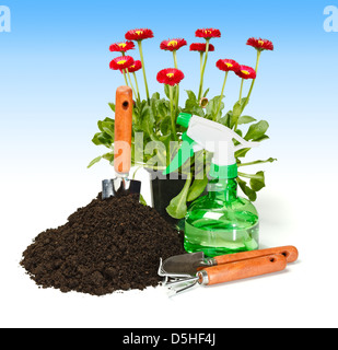 Flower waiting to be planted along gardening tools and dirt Stock Photo