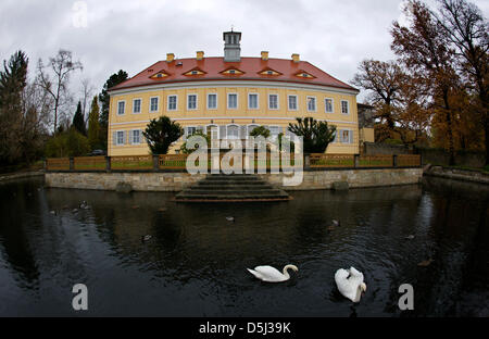 Two swans swim in a pond in front of a hunting lodge in Graupa, Germany, 7 November 2012. In January 2013, the 'Richard-Wagner Museum' in Graupa is going to host the festivities to celebrate the 200th anniversary of German composer Richard Wagner (1813 to 1883, who resided in the lodge in the mid 19th century where he composed essential parts of his romantic opera 'Lohengrin'. Phot Stock Photo