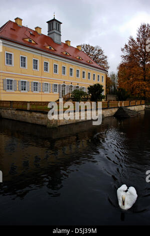 Swans swim in a pond in front of a hunting lodge in Graupa, Germany, 7 November 2012. In January 2013, the 'Richard-Wagner Museum' in Graupa is going to host the festivities to celebrate the 200th anniversary of German composer Richard Wagner (1813 to 1883, who resided in the lodge in the mid 19th century where he composed essential parts of his romantic opera 'Lohengrin'. Photo: A Stock Photo