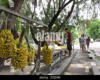 (FILE) An archive photo dated 25 July 2012 shows bananas being sold on the side of the road in Tarawa, Kiribati. The fields are contaminated with salt water. Not much grows anymore, bananas are one of the few fruits. Kiribati appears to have all of the cliches of a South Pacific paradise but the reality is different. The beaches are contaminated with feces, trash is piled up everyw Stock Photo