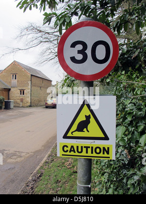 30 mph speed limit sign and sign warning of cats crossing on a road in rural England. Stock Photo