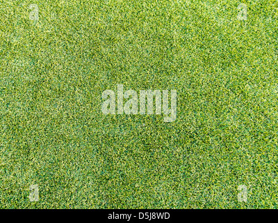 Artificial Grass Stock Photo
